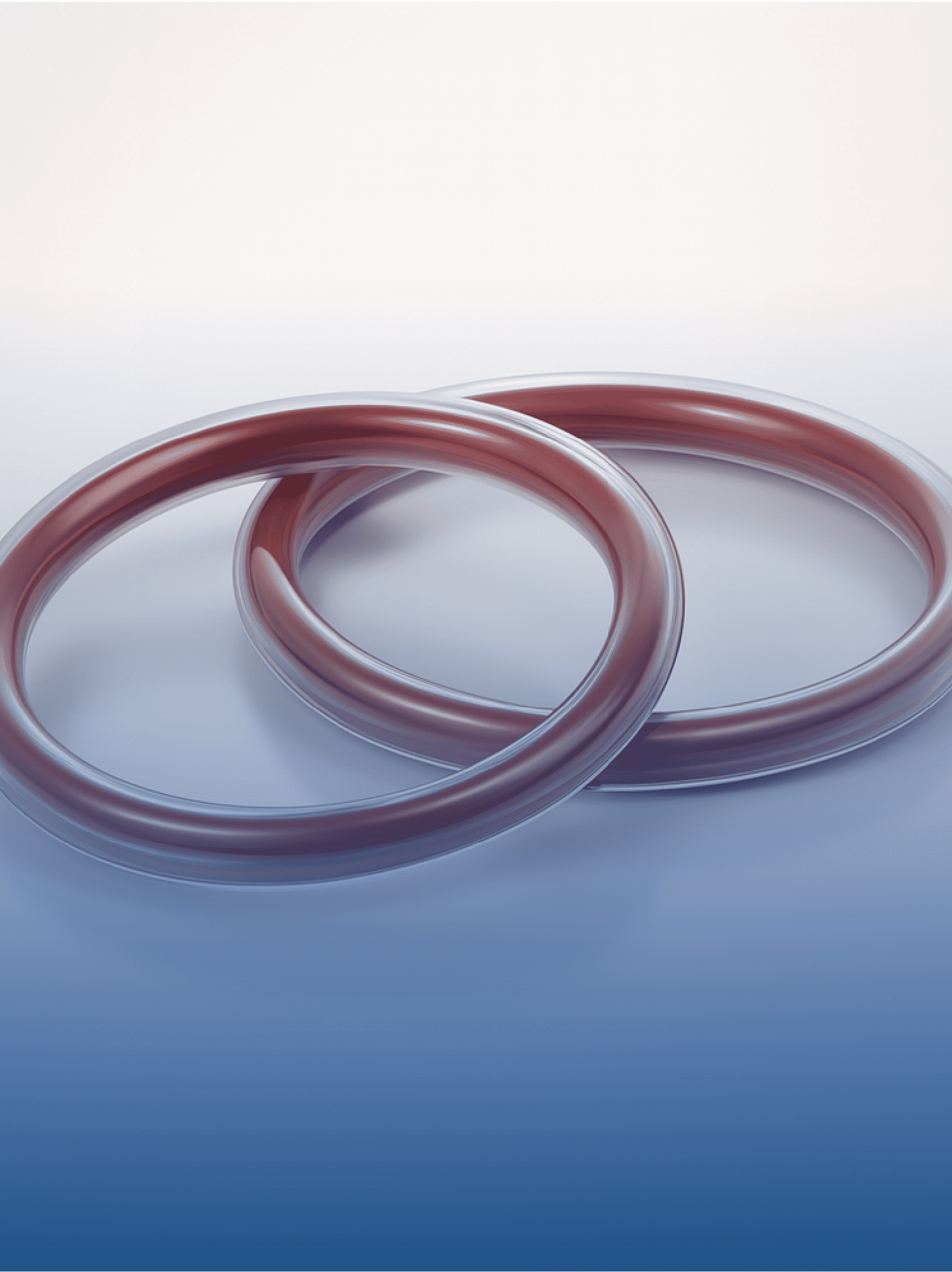 Fabrication of Customised 
Teflon & Silicone 
Encapsulated O-Rings | HG Engineering & Services Sdn. Bhd.